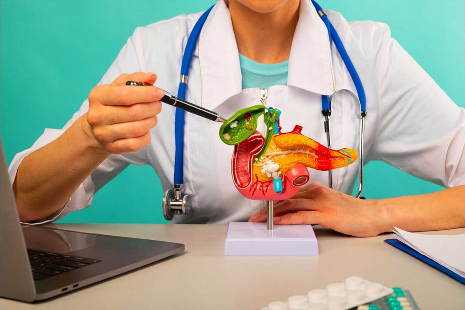 What is the Relationship Between Liver Health and Weight Loss?
